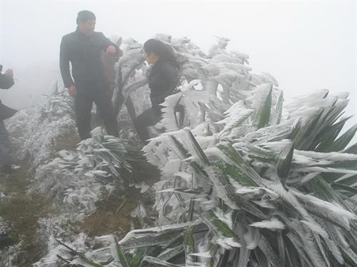 参观母山旅游景区的游客们。（图片来源于互联网）