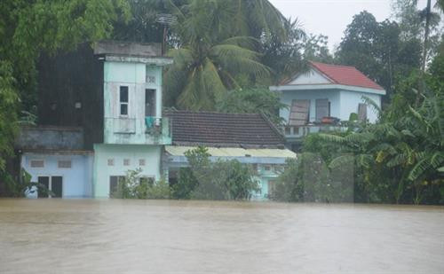 第十二号台风造成严重损失。(图片来源:越通社) 第十二号台风造成严重损失。(图片来源:越通社)