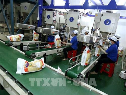 胡志明市企业向澳大利亚出口大米 图自越通社