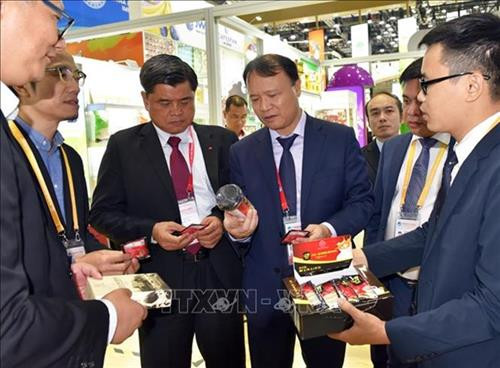 游客参观越南展位。图自越通社