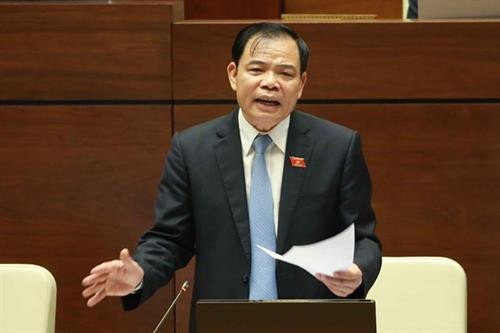 农业与农村发展部部长阮春强答复代表们的提问。图自越通社