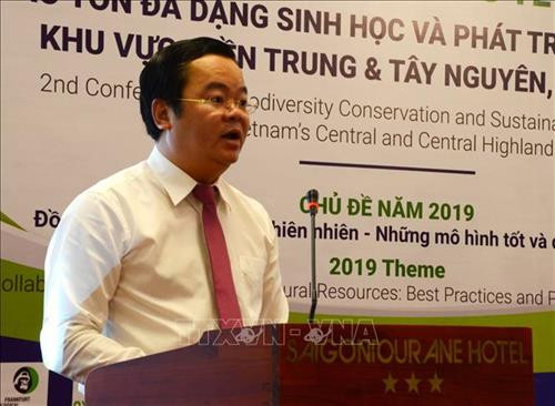 岘港市人民议会主席阮儒忠在会议上发表讲话。图自越通社
