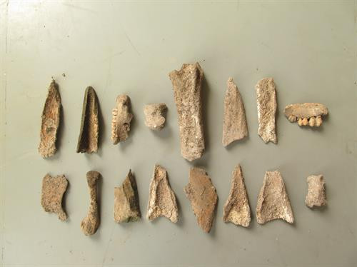 北𣴓省𠀧𣷭县发现史前人遗址。图自越通社