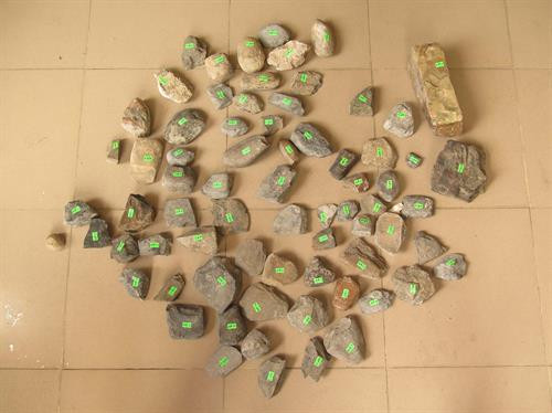 北𣴓省𠀧𣷭县发现史前人遗址。图自越通社