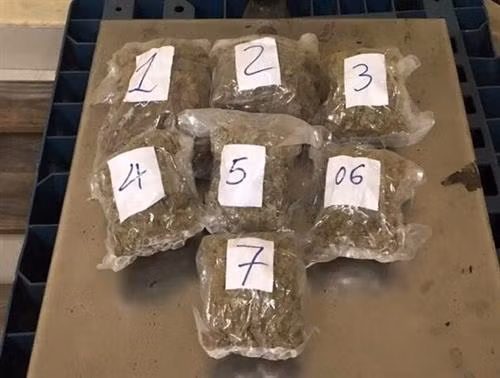 新山一国际机场口岸海关分局在现场查获的毒品。 图自越通社