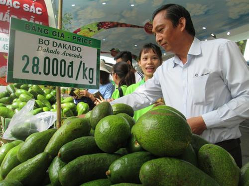 2018年第十四届南部水果节的展位。（图片来源：因特网）