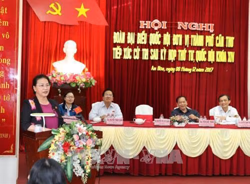 越南国会主席阮氏金银接待芹苴市选民。（图片来源：越通社）