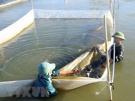 附图。图自越通社