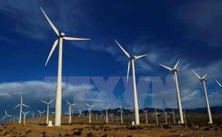 附图。(图片来源:越通社) 附图。(图片来源:越通社)