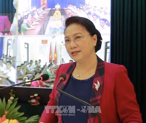 越南国会主席阮氏金银发表讲话。（图片来源：越通社）