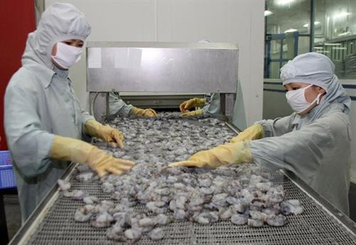 加工虾类。（图片来源：越通社）