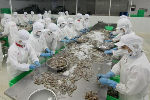 加工虾类。（图片来源：越通社）