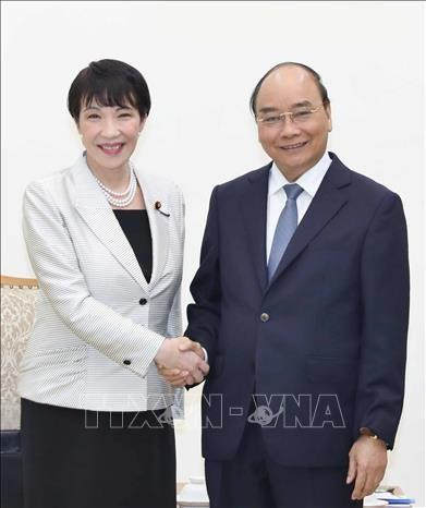 阮春福总理会见日本内务和通信大臣高市早苗。图自越通社 阮春福总理会见日本内务和通信大臣高市早苗。图自越通社