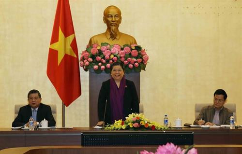 越共中央政治局委员、国会常务副主席丛氏放在会上发表讲话。（图片来源：越通社）
