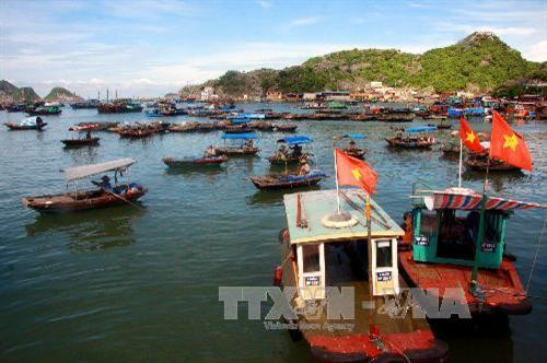 岘港市力争建成全国和地区中的海运经济中心 ảnh 2