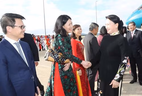 越南驻澳大利亚大使馆代表到机场迎接阮氏金银主席。（图片来源：越通社）