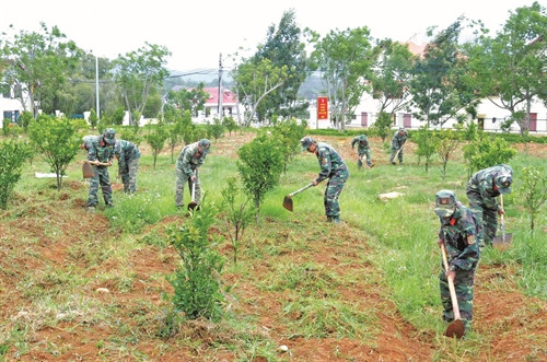 大叻陆军学院师生参加植树活动。 大叻陆军学院师生参加植树活动。