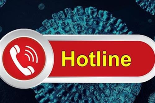 附图。图自互联网 附图。图自互联网