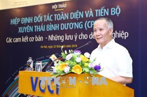 工贸部副部长陈国。（图片来源：越通社）