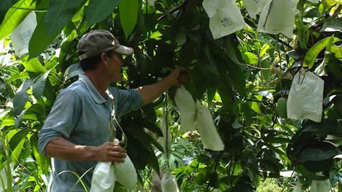 附图 。图自因特网