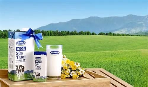 附图 。图自因特网 附图 。图自因特网