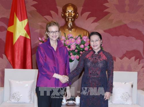 国会主席阮氏金银与联合国开发计划署驻越南首席代表维森。（图片来源：越通社）