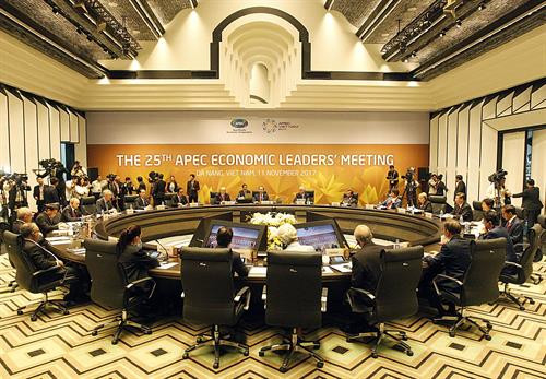 APEC第25次领导人会议场景。（图片来源：越通社）