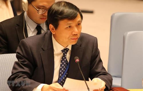 越南驻联合国代表团团长邓廷贵。图自越通社