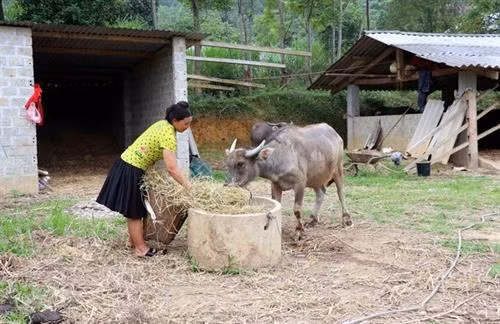 越南国会常务委员会第26次会议:越南政府民族委员会主任杜文战登台接受质询 ảnh 2 越南国会常务委员会第26次会议:越南政府民族委员会主任杜文战登台接受质询 ảnh 2