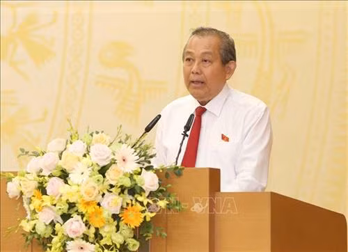 政府常务副总理、行政改革指导委员会主任张和平在会上发表讲话。图自越通社