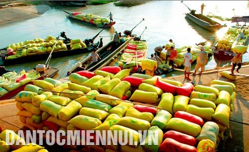 将稻谷运到薄辽省永利县珠兴甲乡的收收购点。 将稻谷运到薄辽省永利县珠兴甲乡的收收购点。