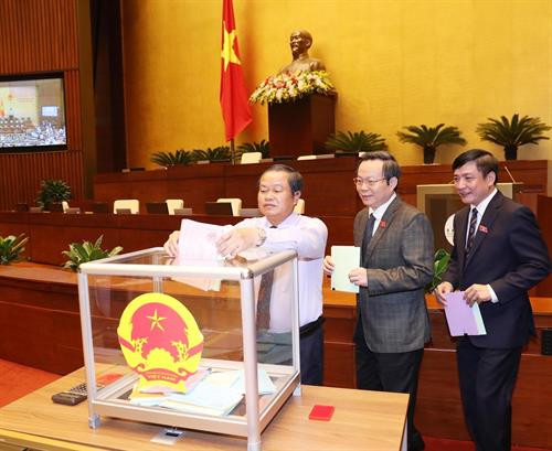 国会代表进行投票。 图自越通社