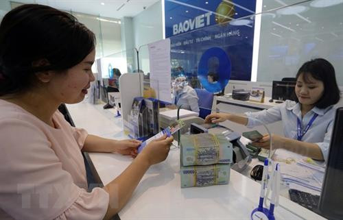 资料图 图自越通社