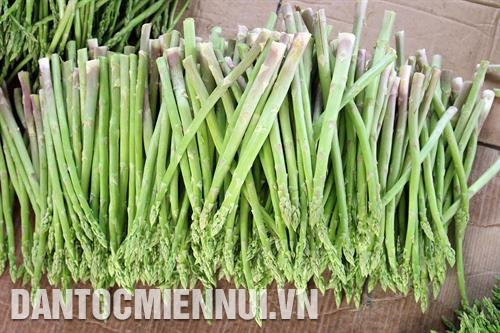 芦笋给宁顺农民带来稳定收入。记者 功署 把科技应用于芦笋已帮助宁顺省农民减少栽培功夫，有助于提高农作物产量。记者 秀琼 摄 芦笋被研究加工成为保健食品。记者 功署 摄