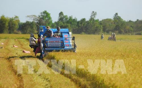 附图(图片来源:越通社) 附图(图片来源:越通社)