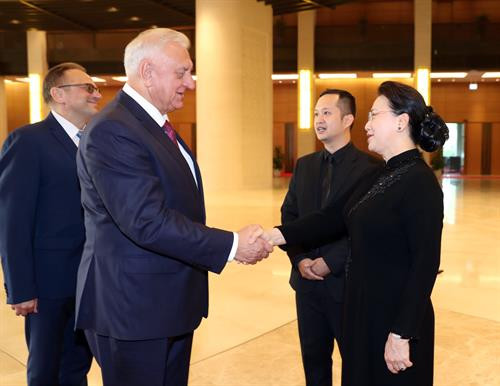 越南国会主席阮氏金银会见白俄罗斯参议院议长米哈伊尔•米亚斯尼科维奇（图片来源：越通社）