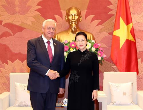 越南国会主席阮氏金银会见白俄罗斯参议院议长米哈伊尔•米亚斯尼科维奇（图片来源：越通社）