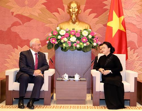 越南国会主席阮氏金银会见白俄罗斯参议院议长米哈伊尔•米亚斯尼科维奇（图片来源：越通社）