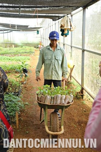 基于气候和土壤适合种植药材，公伯龙县已动员同胞发展药材种植。记者 黄河 摄