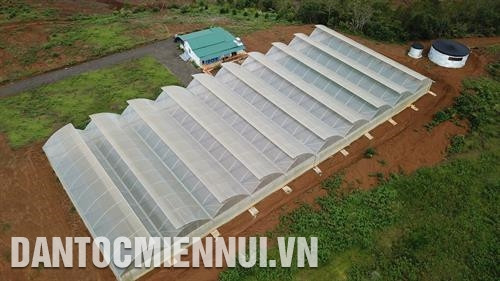 公伯龙县越康农公司的药材种苗种植区。记者 黄河 摄