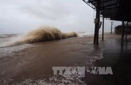 附图 。图自越通社 附图 。图自越通社