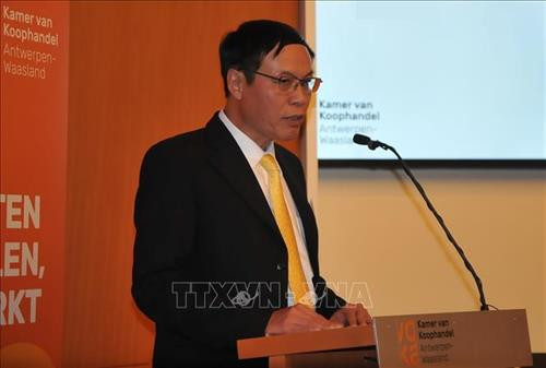 越南驻比利时大使武英光在研讨会上发表讲话。图自越通社