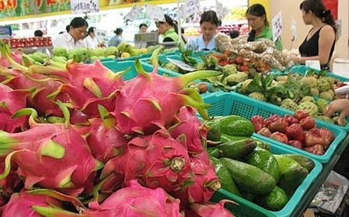 1.6万亿越盾投资于后江省蔬果行业。图自因特网