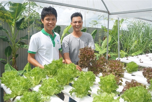 芹苴市高科技农业成功模式之一（图片来源:互联网）