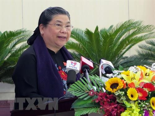 越南国会常务副主席丛氏放发表讲话。（图片来源：越通社）