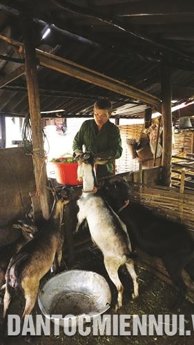 广文漂曾走过多地,向许多人学习借鉴经验,并他决定在自己家乡上发家致富。 广文漂曾走过多地,向许多人学习借鉴经验,并他决定在自己家乡上发家致富。