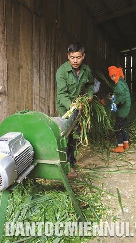 广文漂购买割草机、汽车和耕机,向村内其他农户提供耕地服务。 广文漂购买割草机、汽车和耕机,向村内其他农户提供耕地服务。