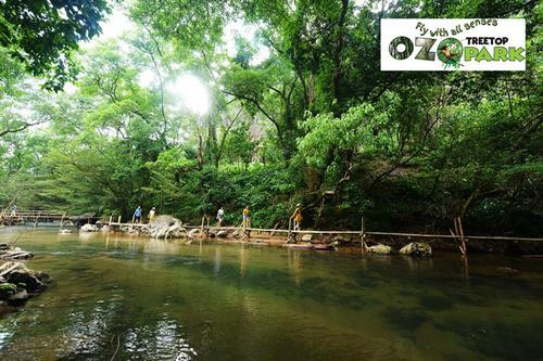 Ozo树梢公园。图自因特网