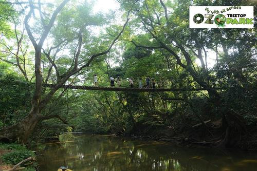 Ozo树梢公园。图自因特网