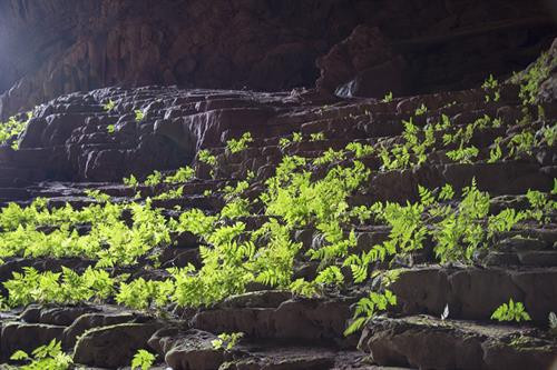 2018年1月起,广平省世界第四大洞穴——Pygmy洞穴探险旅游线路正式开通。(图片来源于互联网) 2018年1月起,广平省世界第四大洞穴——Pygmy洞穴探险旅游线路正式开通。(图片来源于互联网)